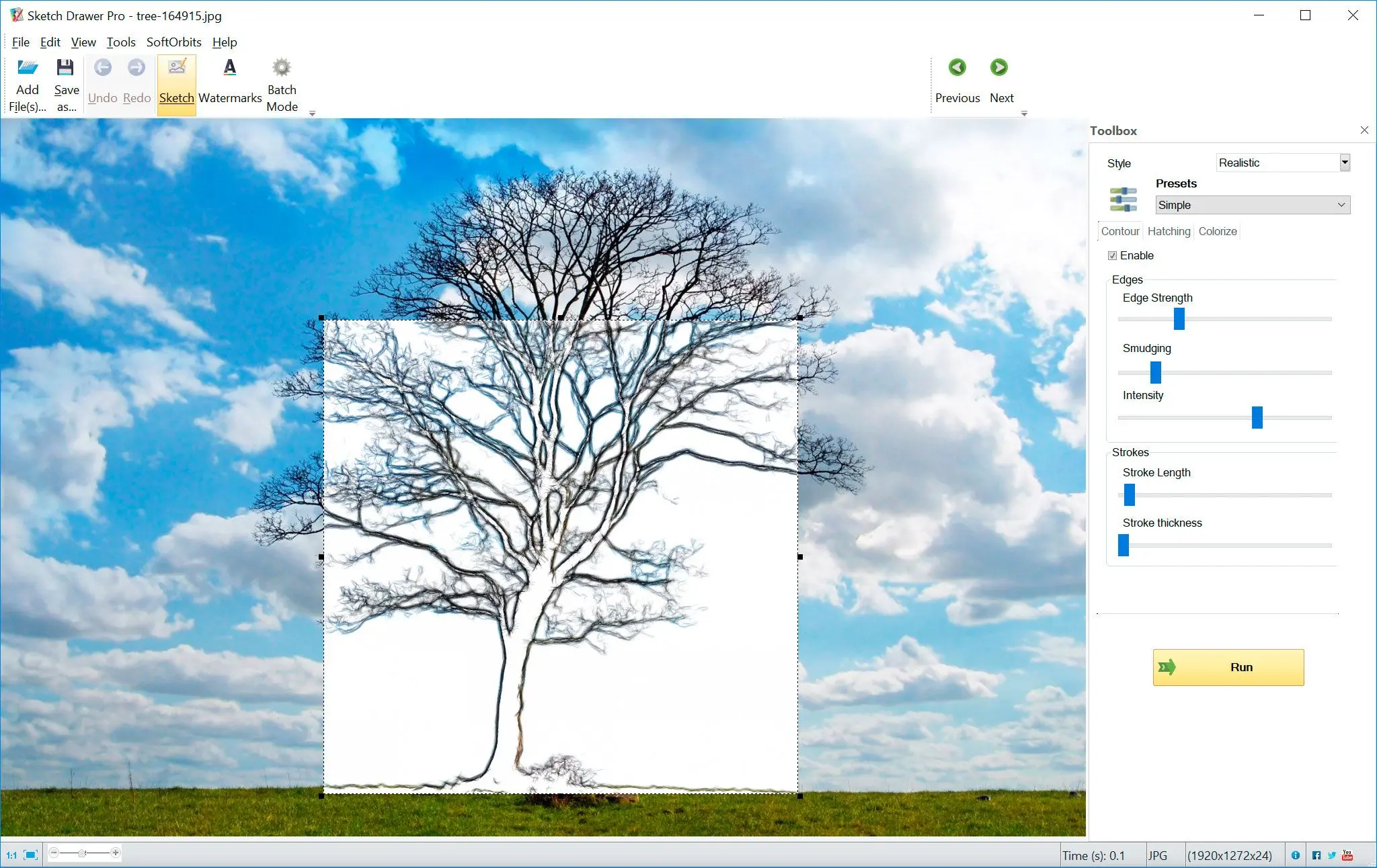 Tree photo into line drawing..